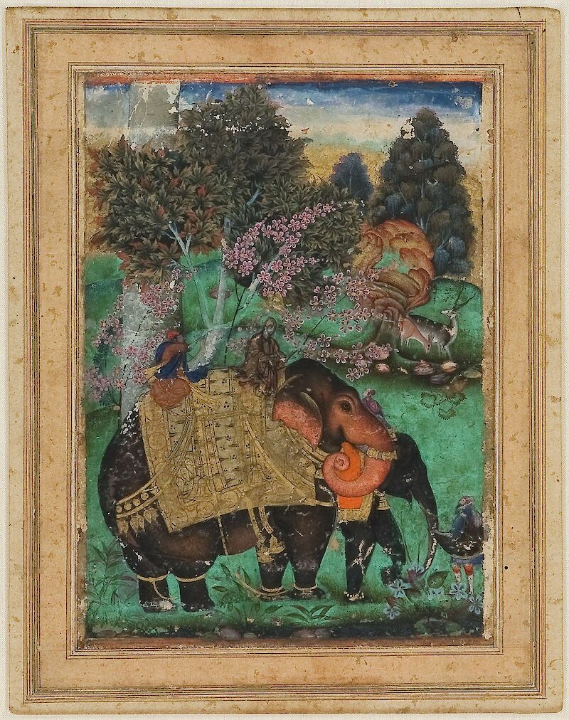 Sultan Ibrahim Adil Shah II Riding His Prized Elephant Atash Khan scale comparison