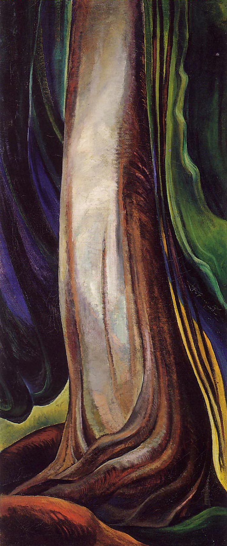 Tree Trunk, zoomed in