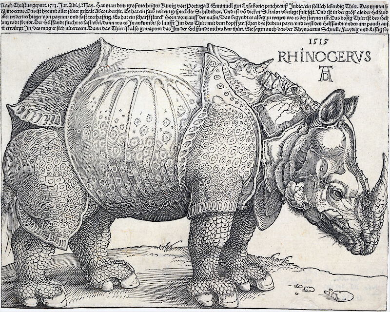 The Rhinoceros scale comparison