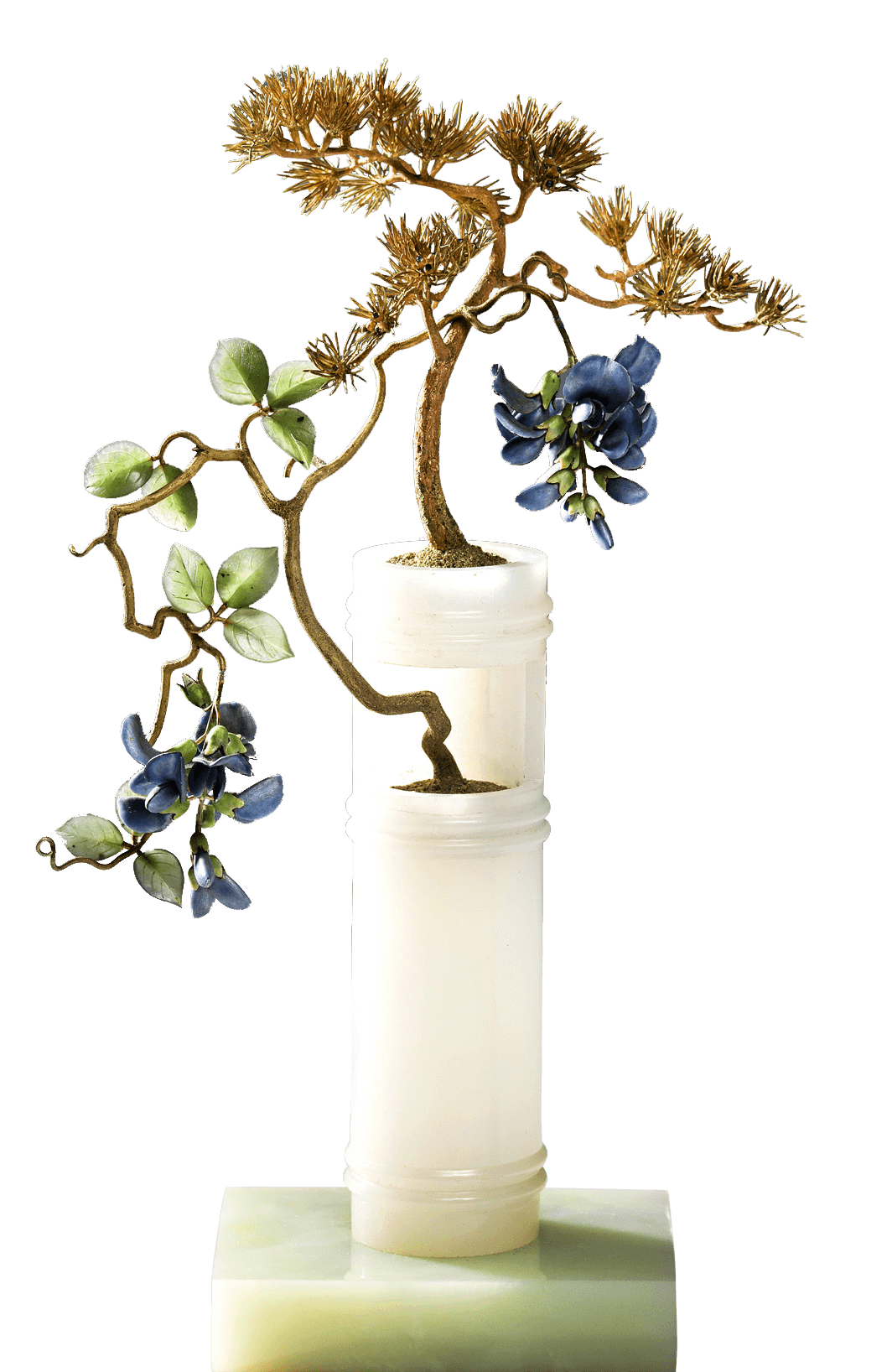 Pine entwined with Wisteria, zoomed in