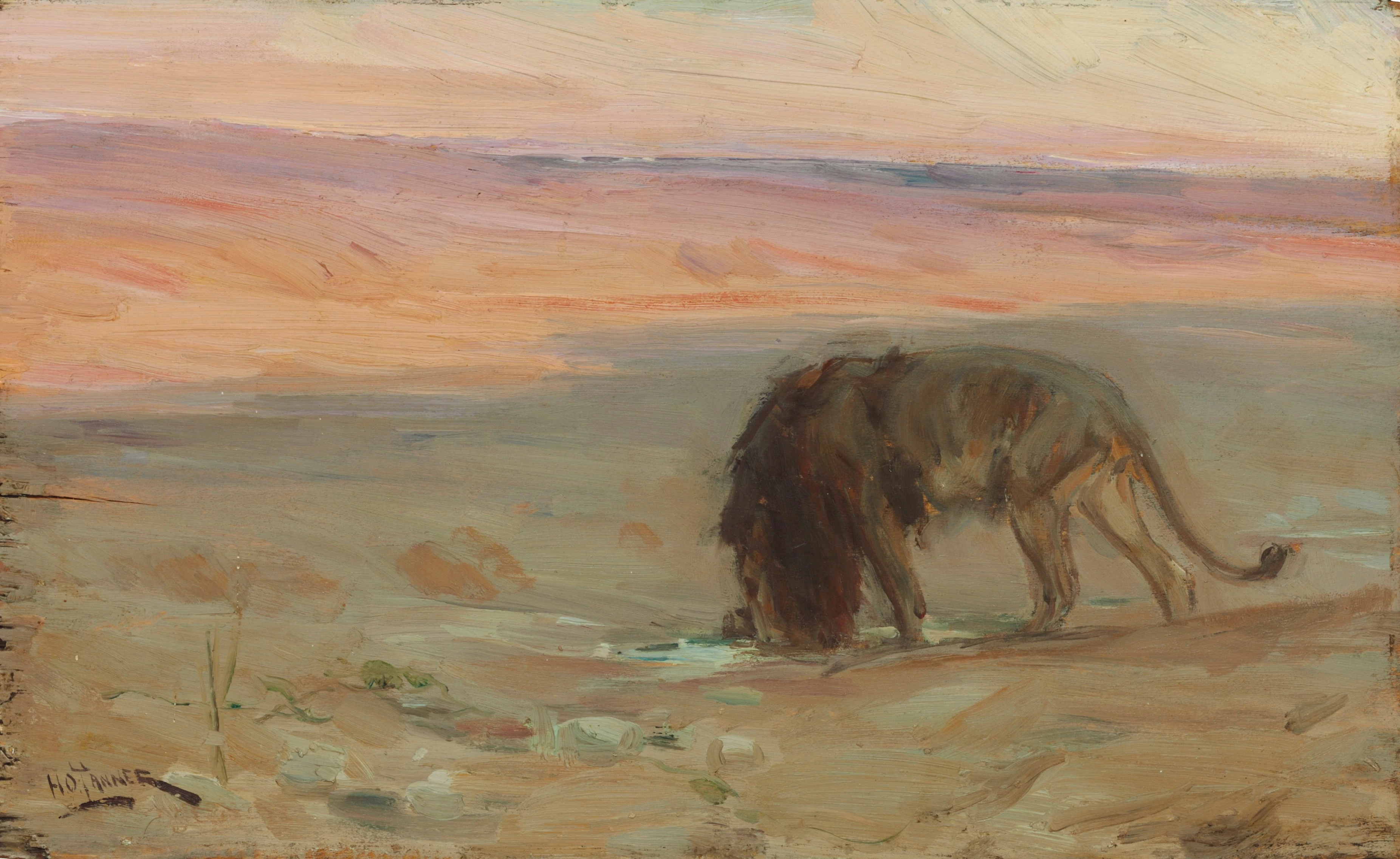 Lion Drinking, Henry Ossawa Tanner