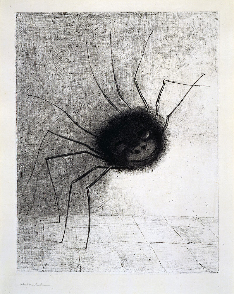 The Smiling Spider scale comparison