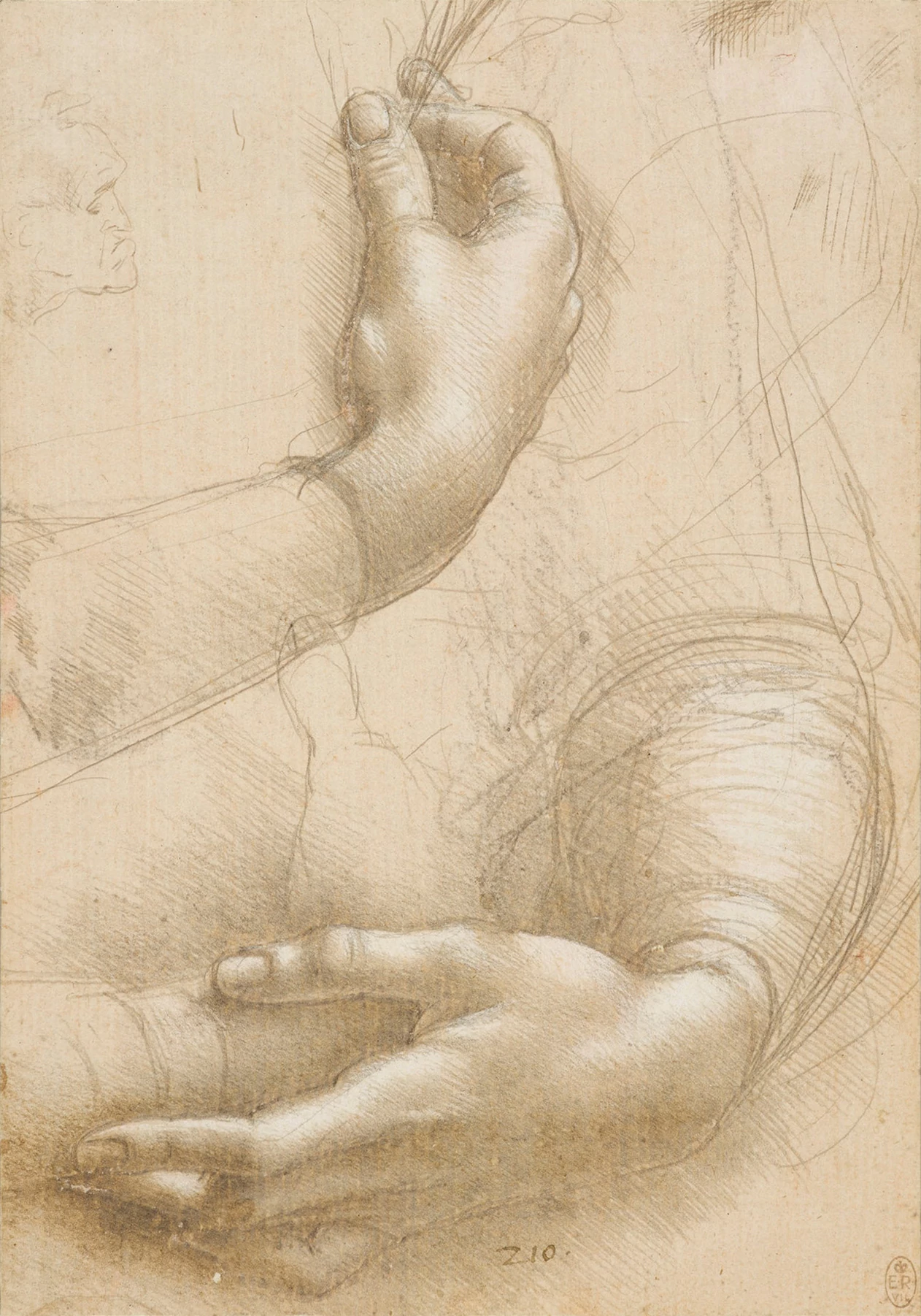 Study of a Woman's Hands, Leonardo da Vinci