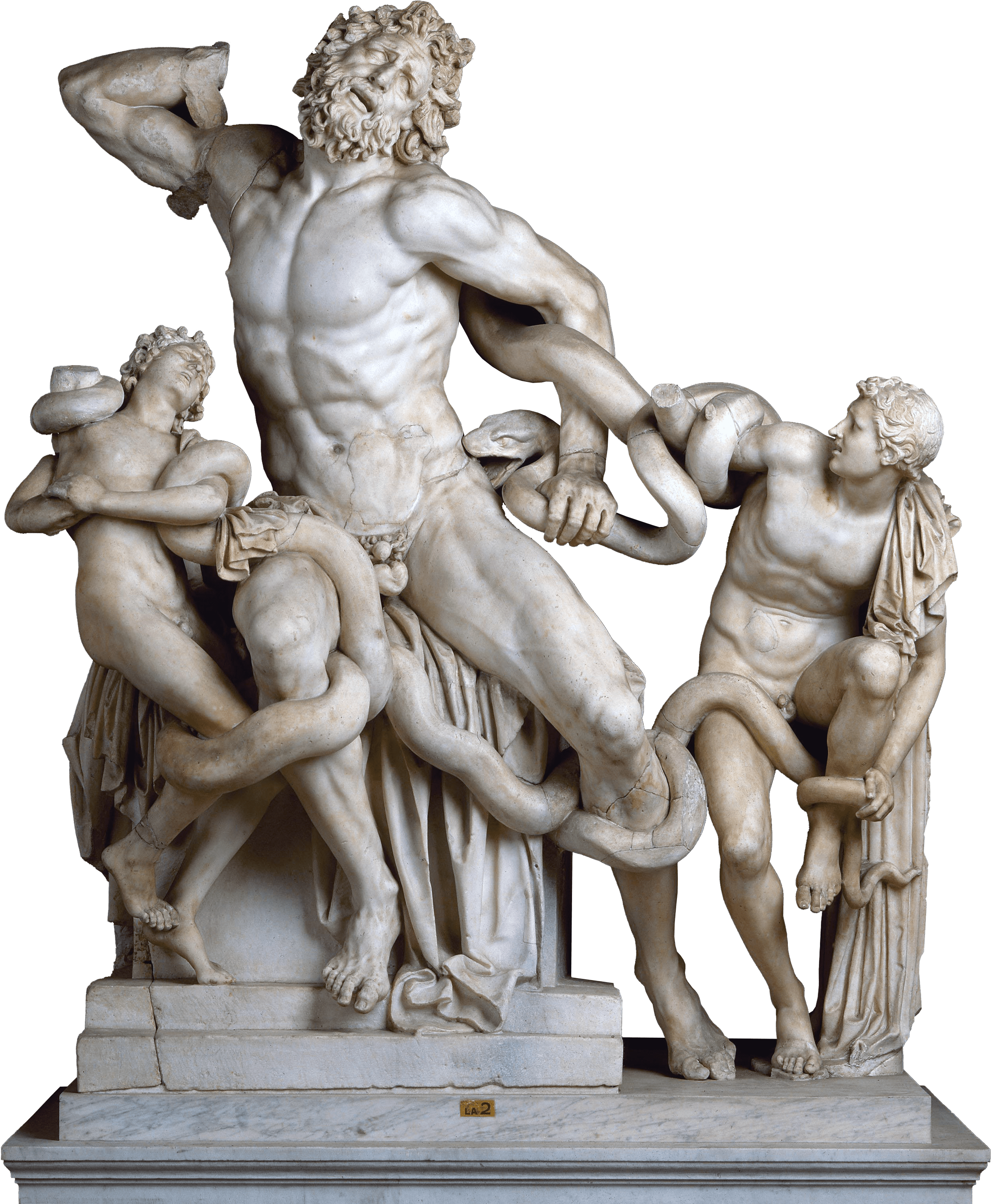 Laocoön and His Sons, zoomed in
