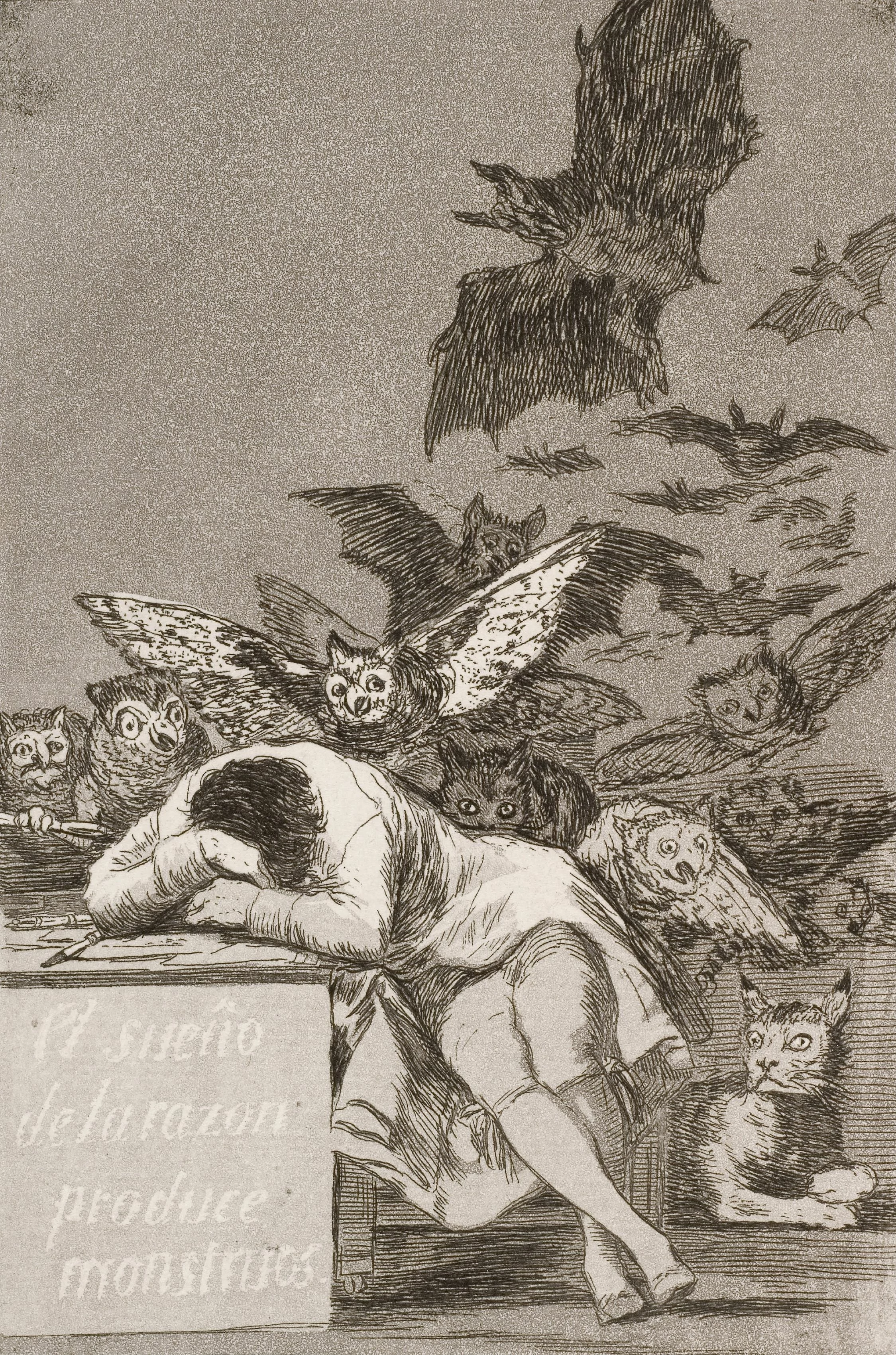 The Sleep Of Reason Produces Monsters, Francisco de Goya y Lucientes