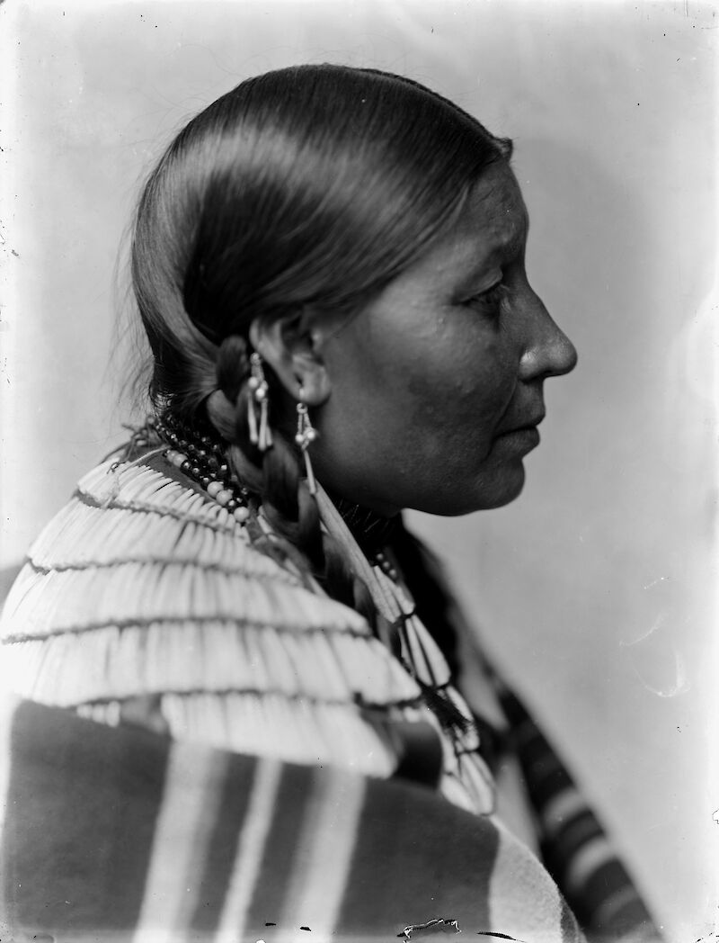 Wife of American Horse, Dakota Sioux scale comparison