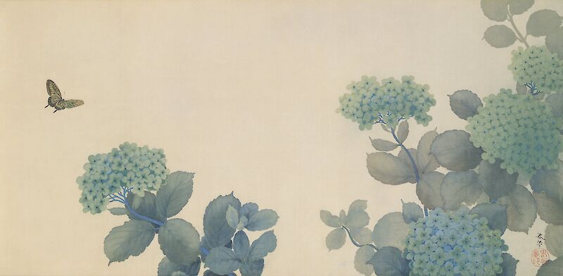 Hydrangeas, 紫陽花 scale comparison