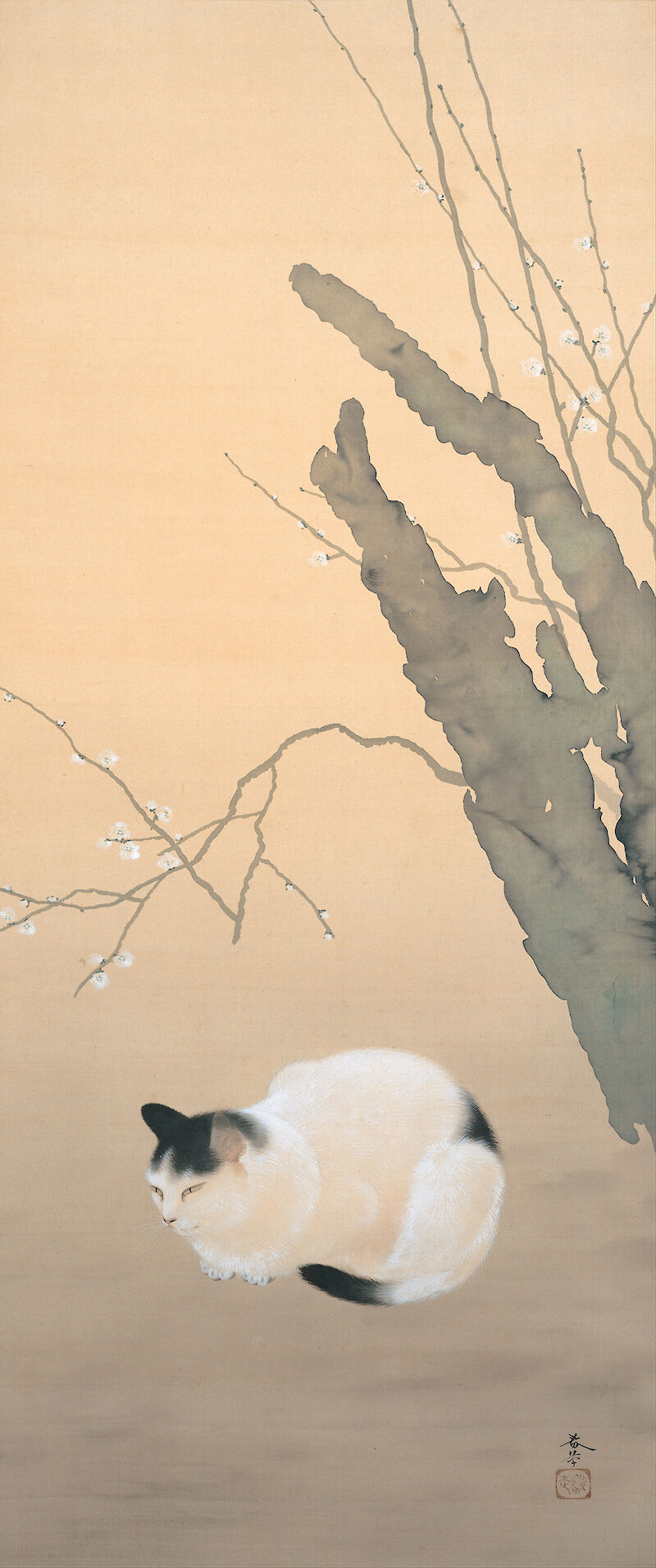 Cat and Plum Blossoms, 猫梅 scale comparison