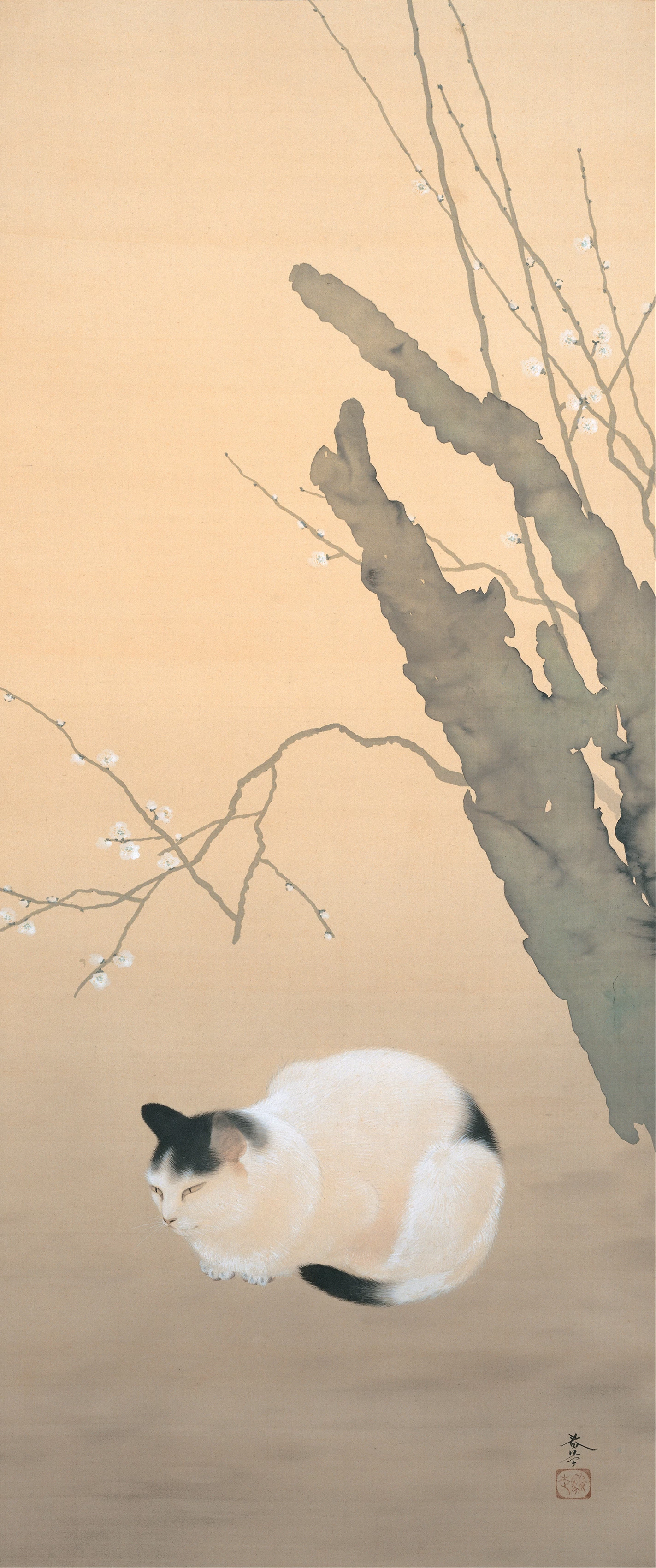 Cat and Plum Blossoms, 猫梅, Hishida Shunsō