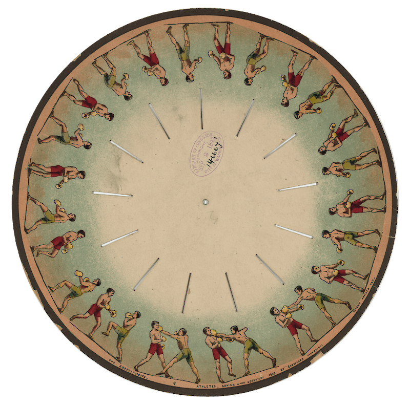 Zoopraxiscope, Athletes Boxing scale comparison