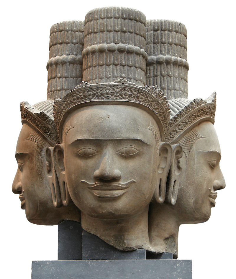 Head of Brahma scale comparison