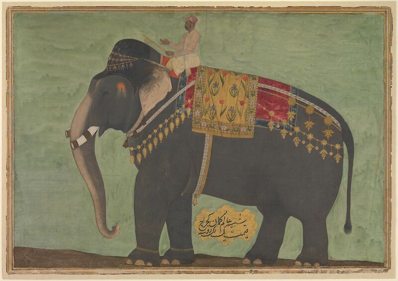 Portrait of the Elephant 'Alam Guman scale comparison
