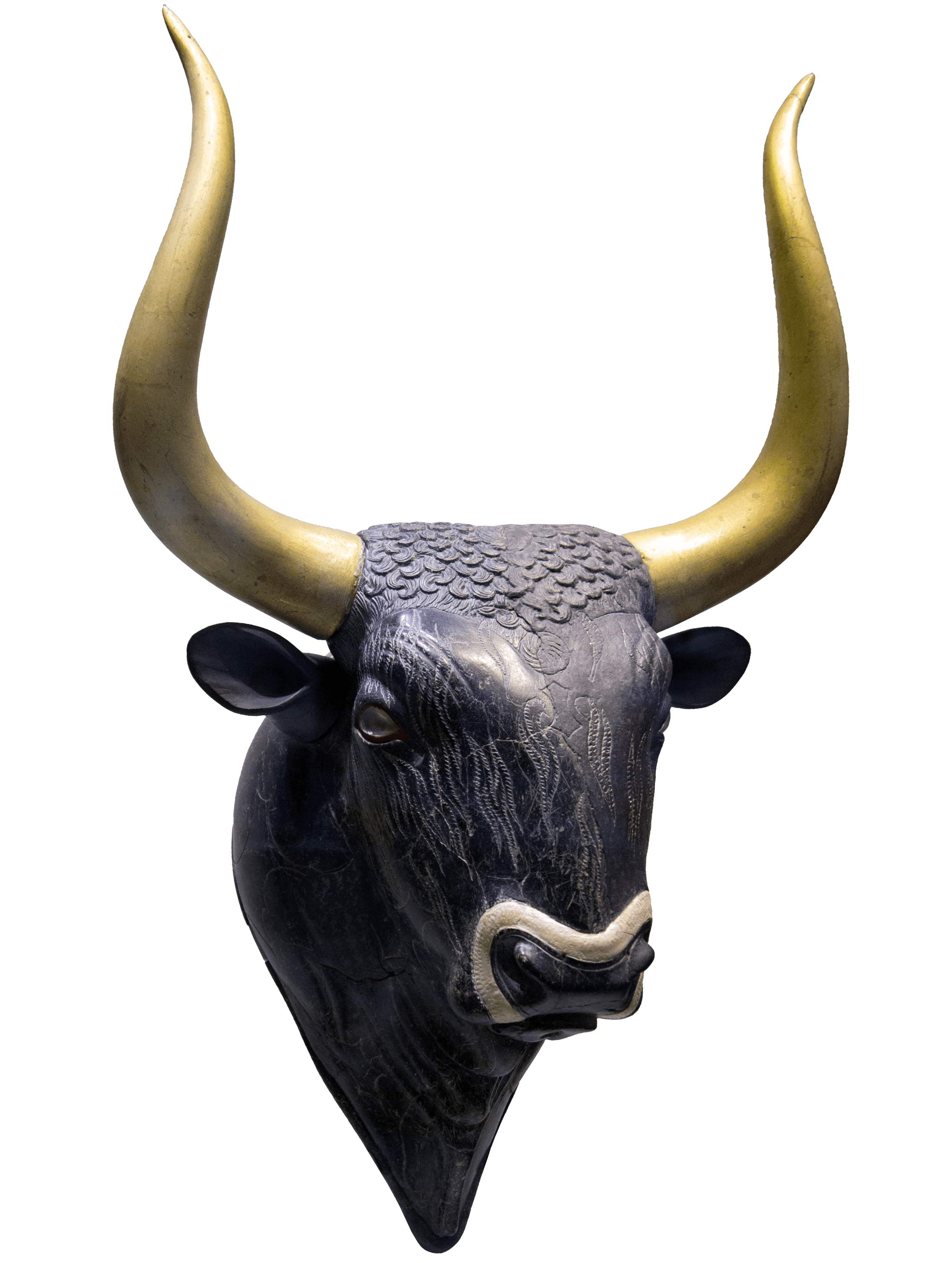 Mycenaean Bull Rhyton, zoomed in