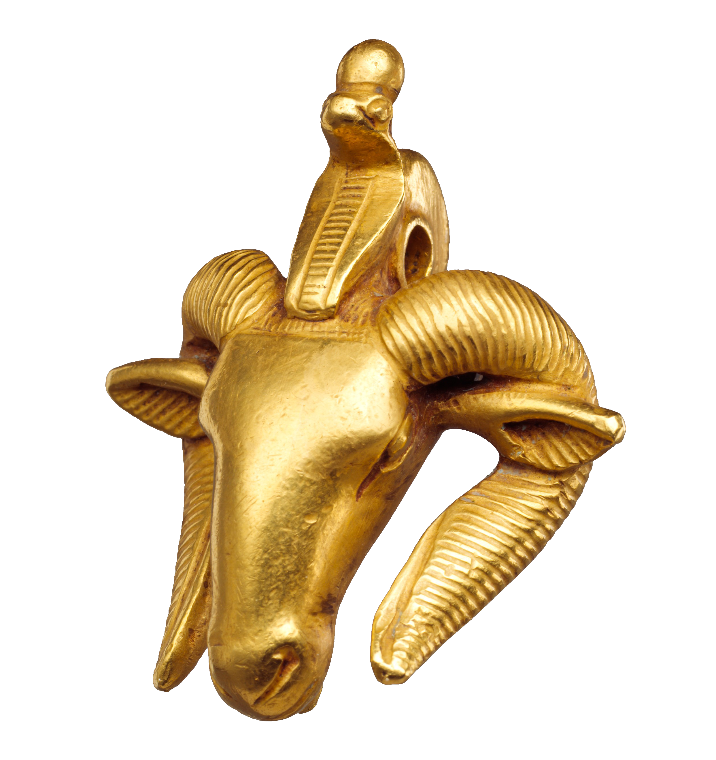 Ram's-head Amulet, zoomed in