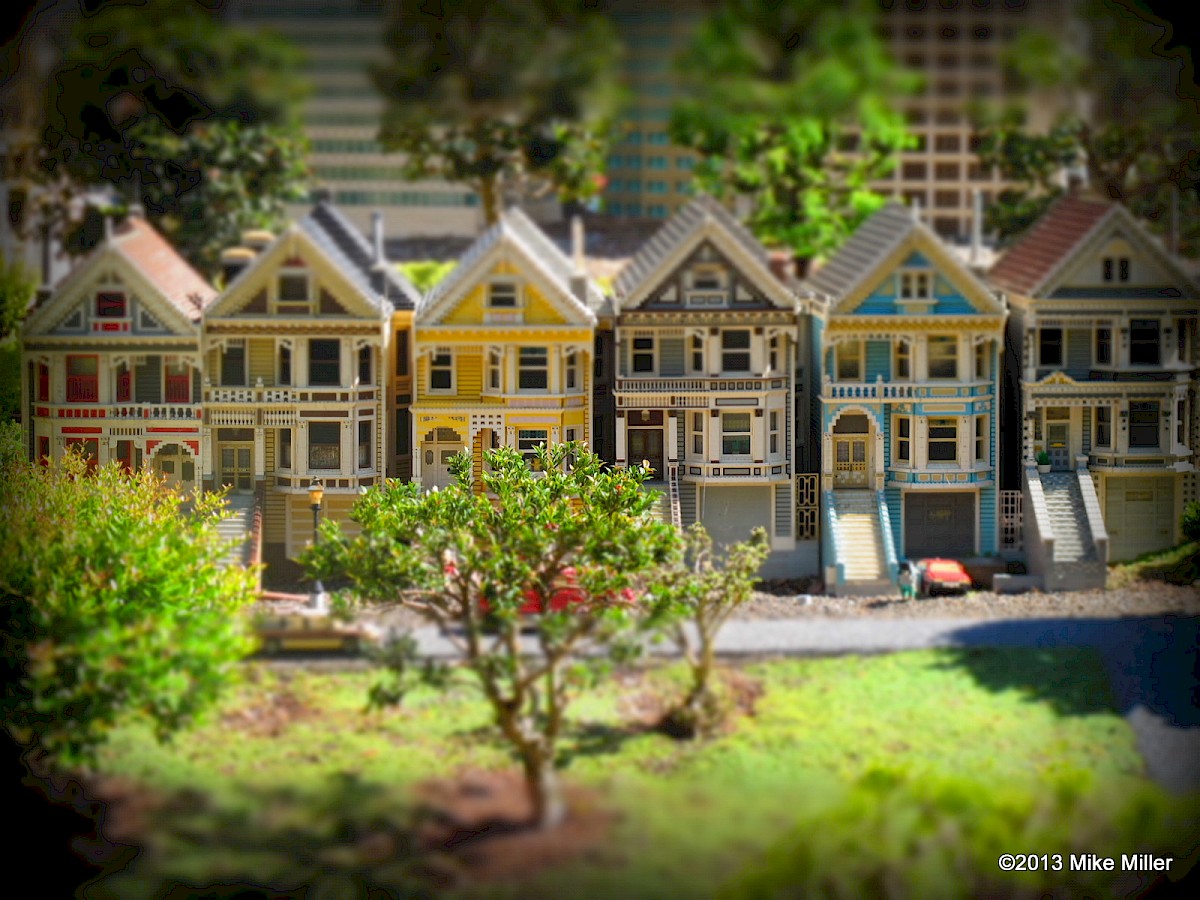 Painted Ladies, additional view