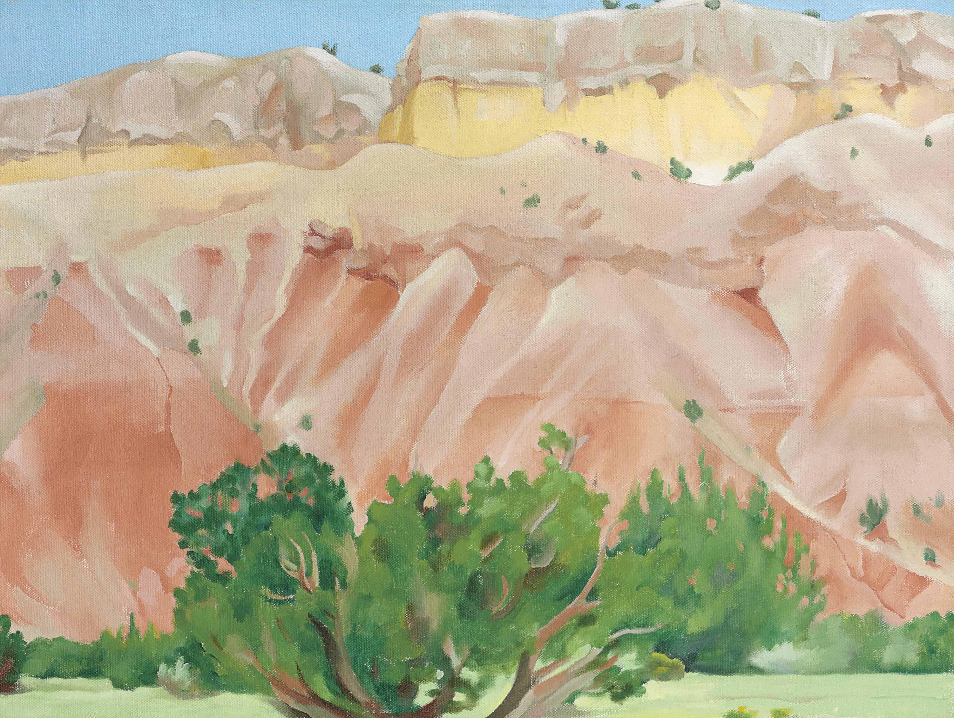 My Back Yard, zoomed in