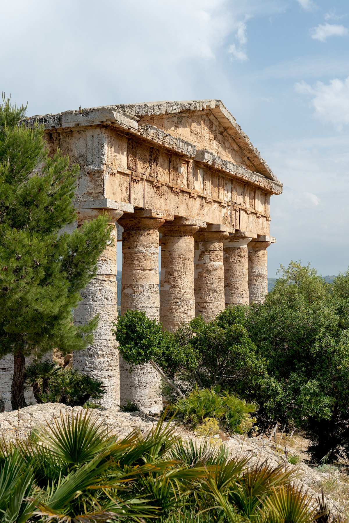 Temple of Segesta, additional view