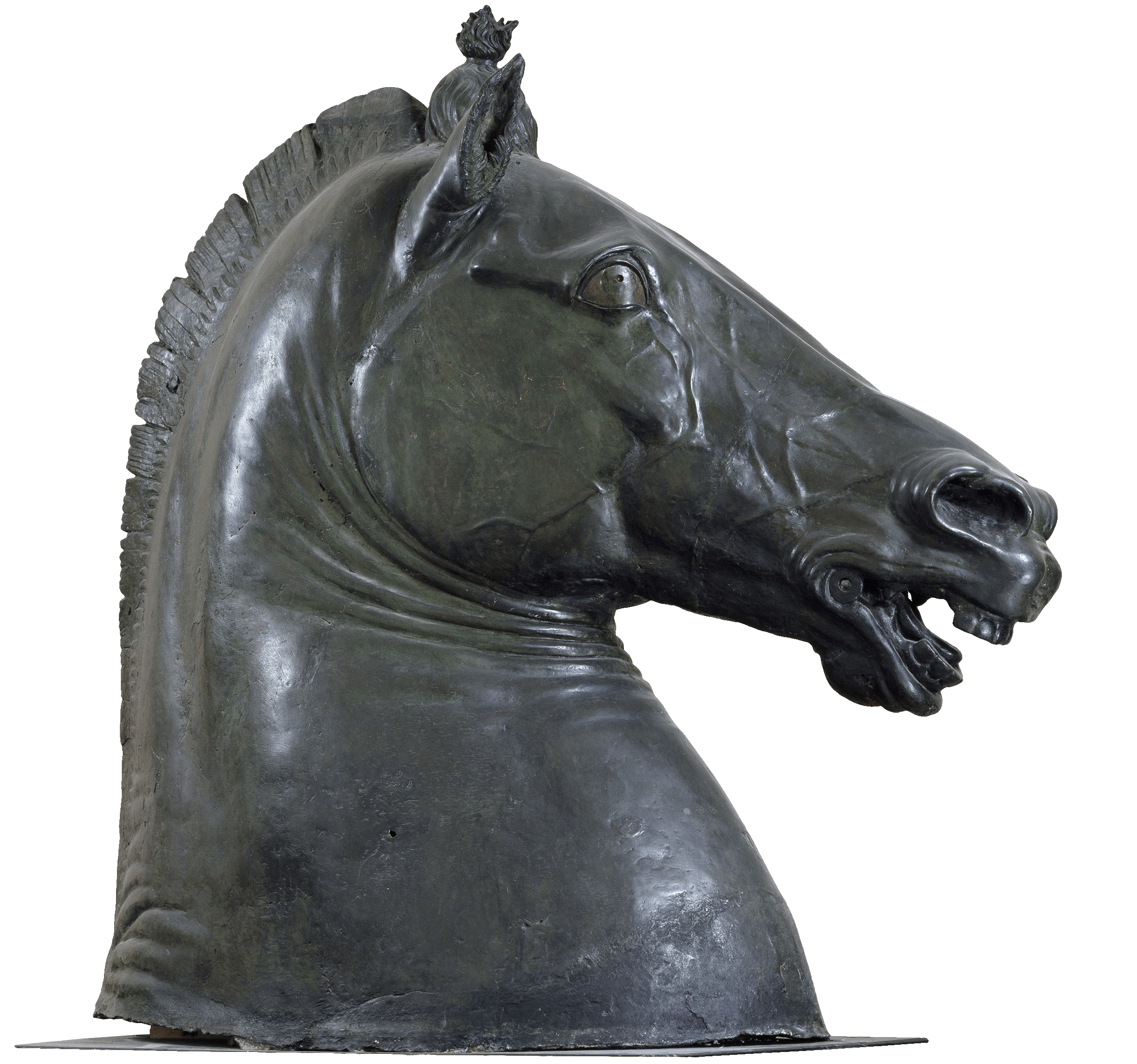 Protome Carafa, zoomed in