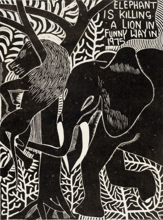 Elephant is Killing a Lion in Funny Way in 1975, zoomed in