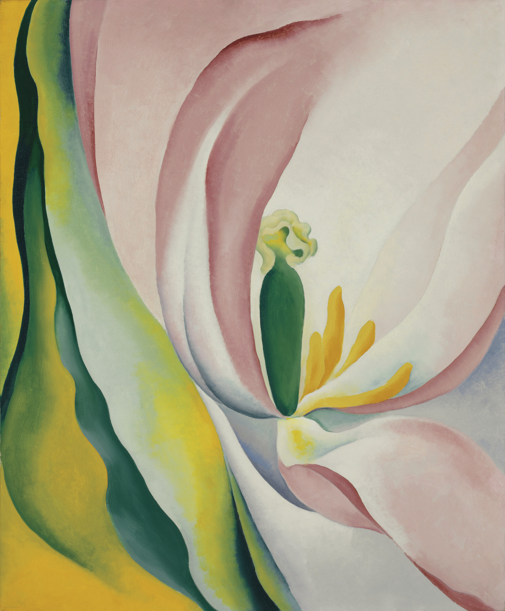 Pink Tulip by Georgia O'Keeffe | Obelisk Art History