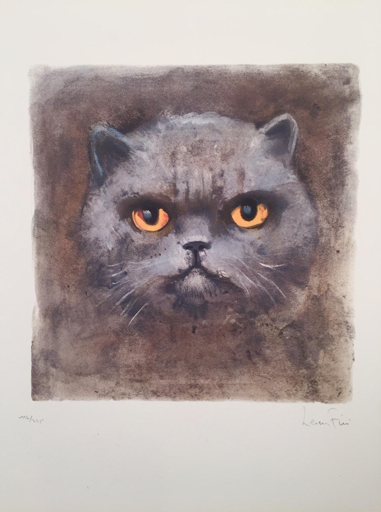 Ubu The Magical Cat, zoomed in