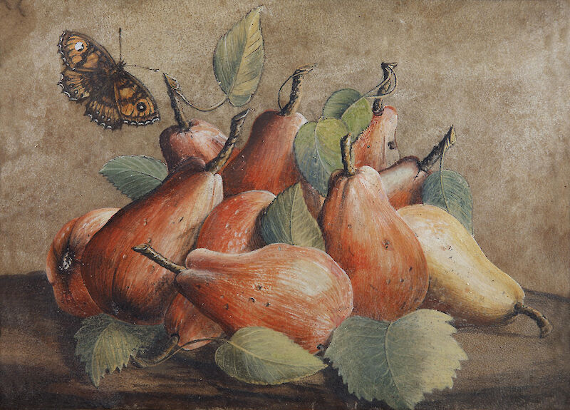 Still Life with Pears and a Butterfly scale comparison