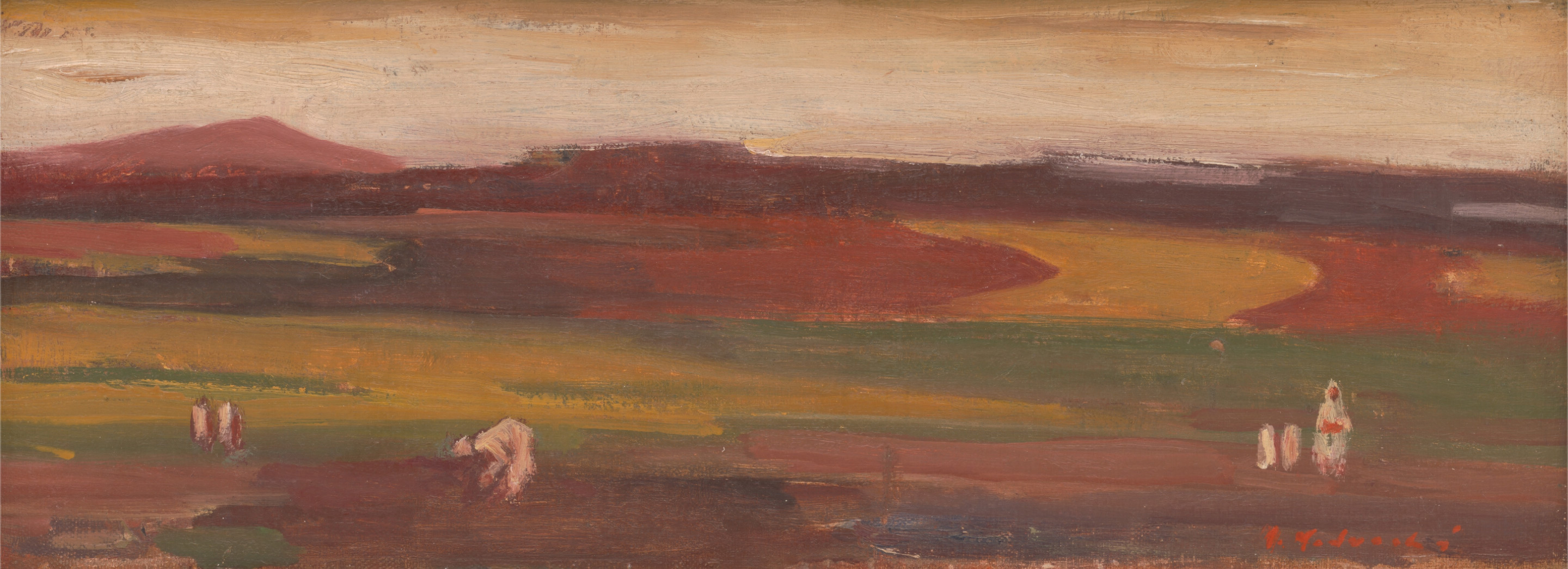 Wide Field, zoomed in