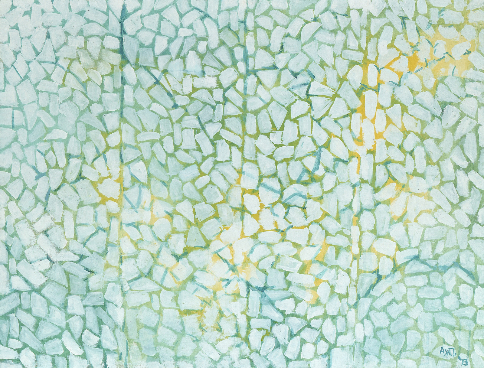 White Daisies Rhapsody, zoomed in