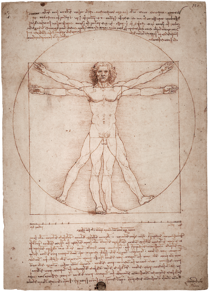 The Vitruvian Man scale comparison