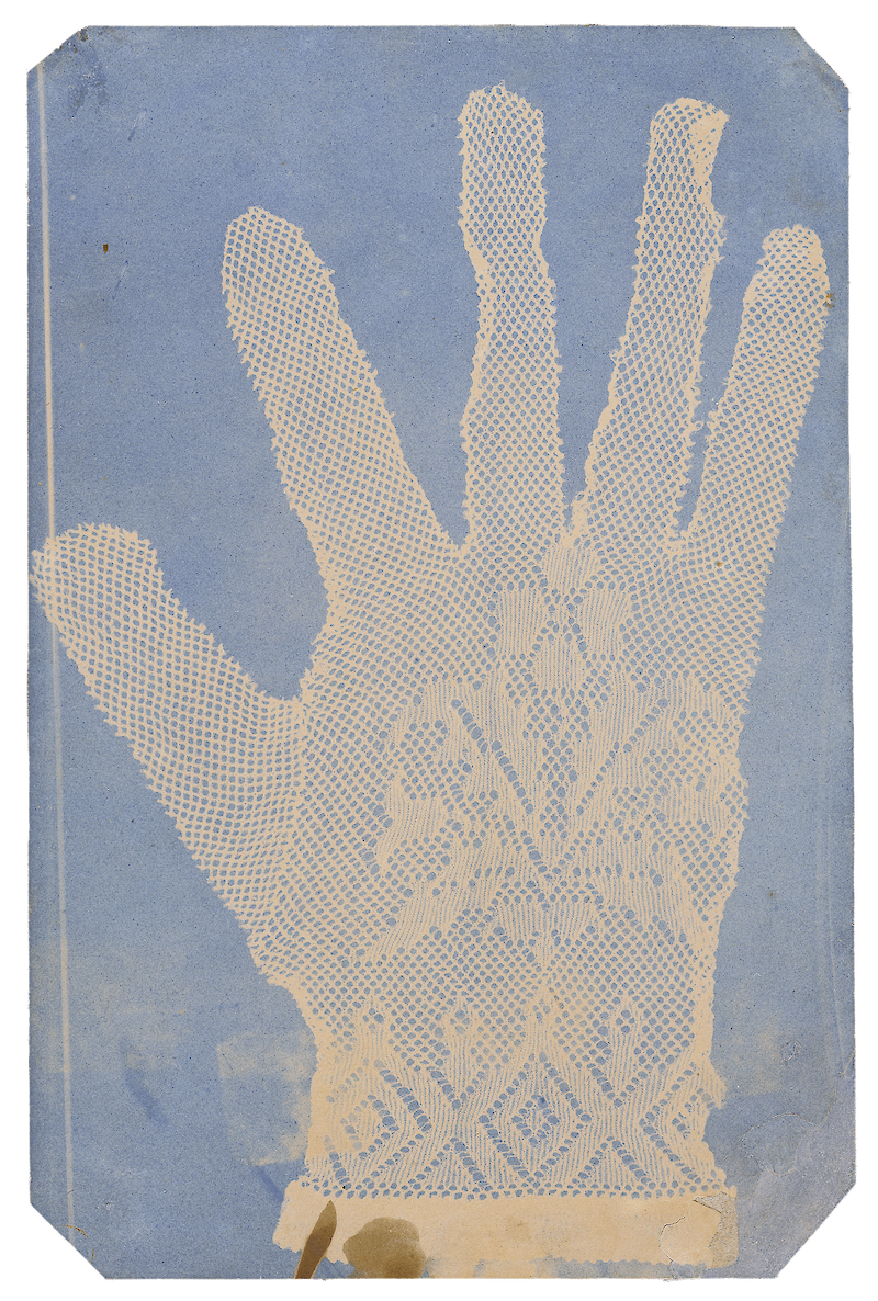 Lace Glove scale comparison