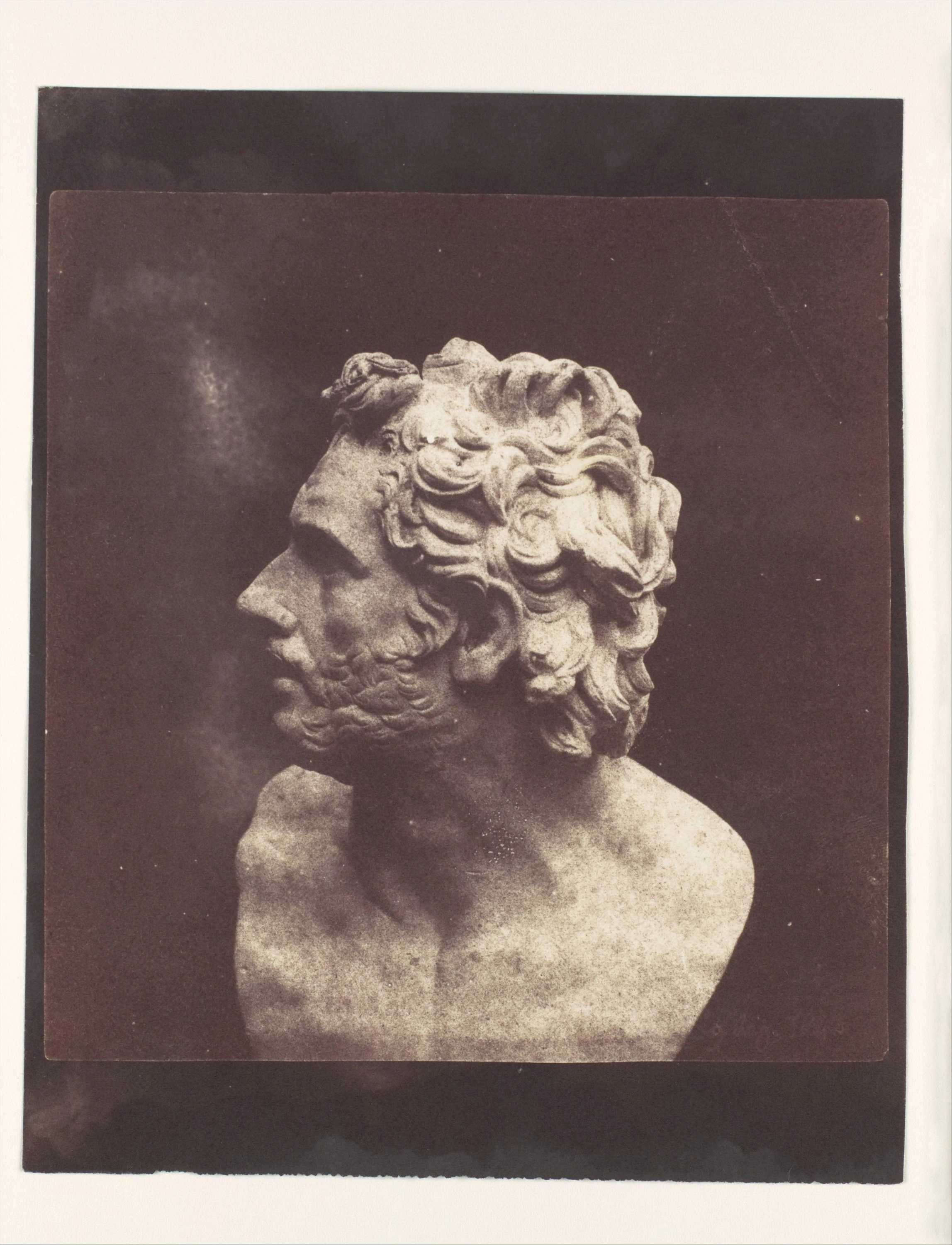 Bust of Patroclus, William Henry Fox Talbot