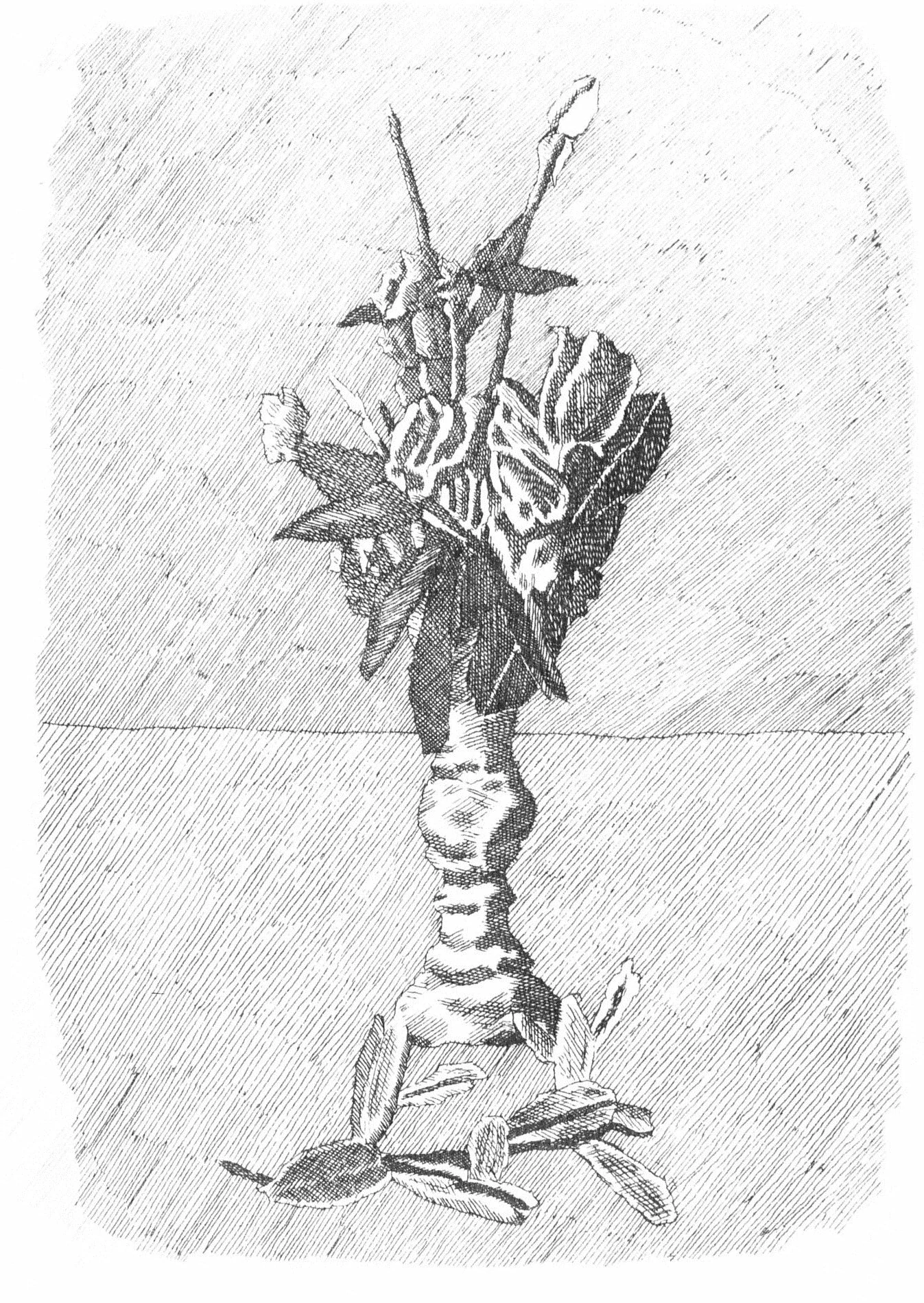 Budding Roses in a Vase, Giorgio Morandi