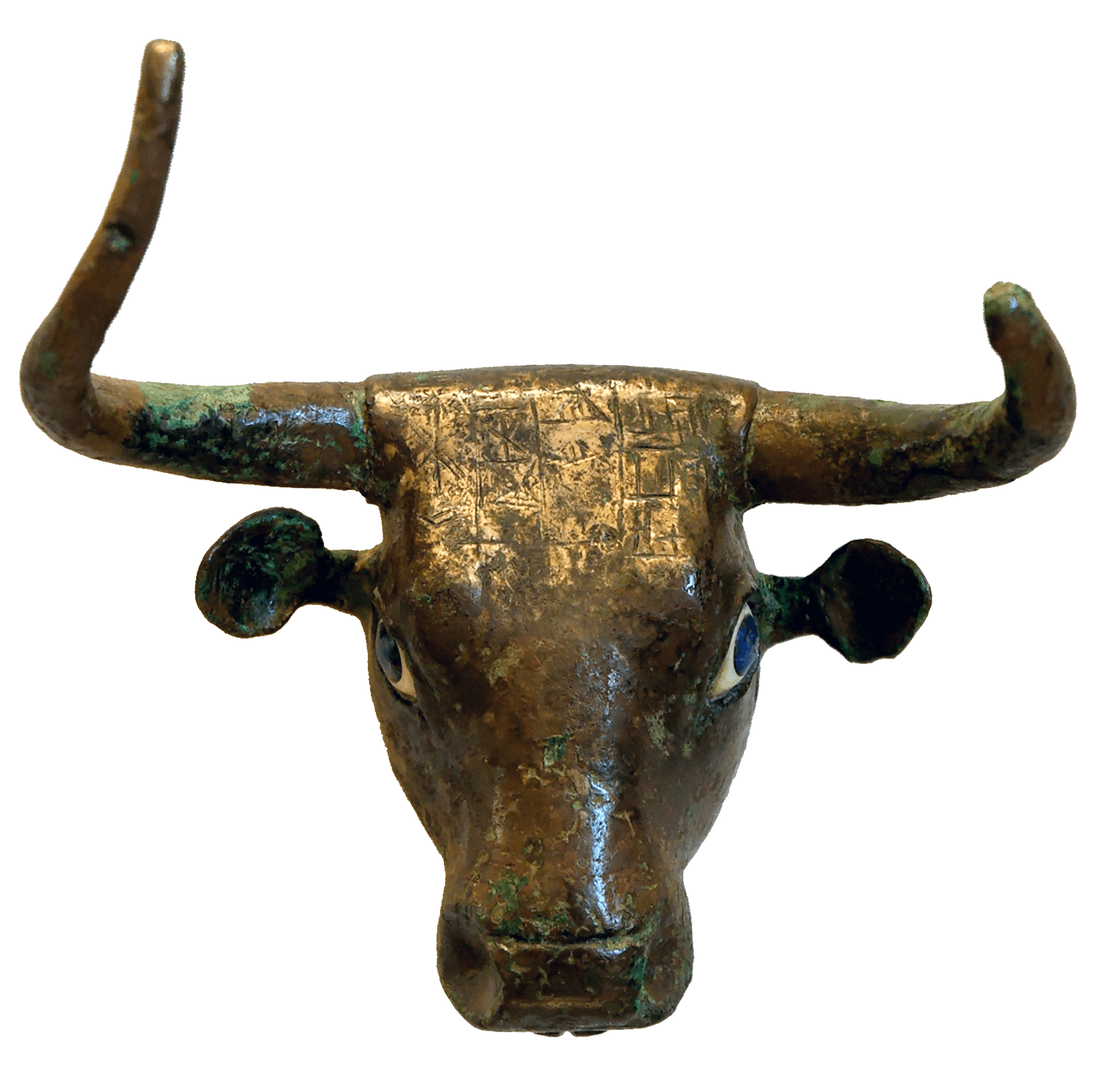 Bull Head from Girsu (Telloh), zoomed in