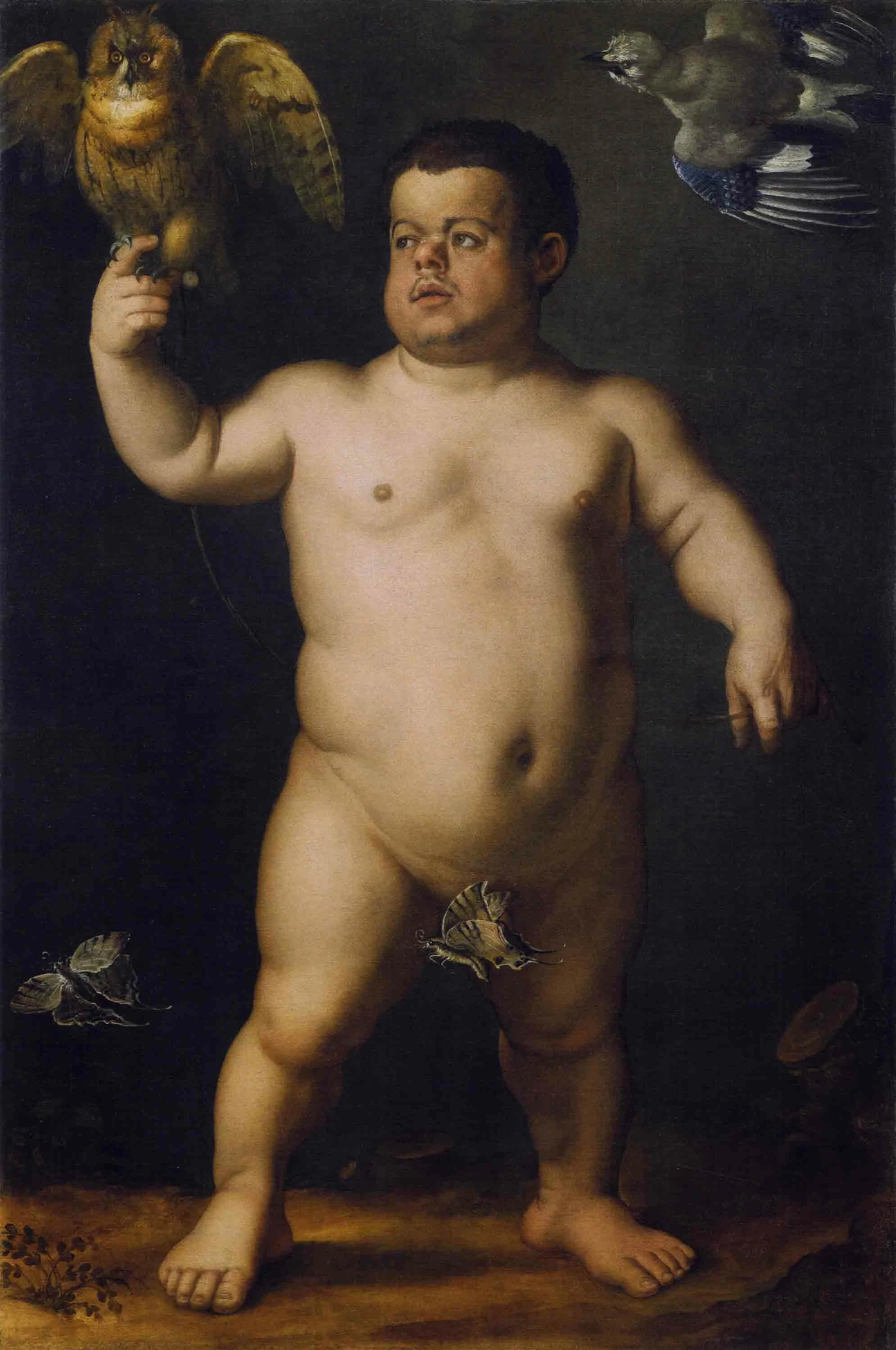 Portrait of the dwarf Nano Morgantе (Front), Agnolo Bronzino