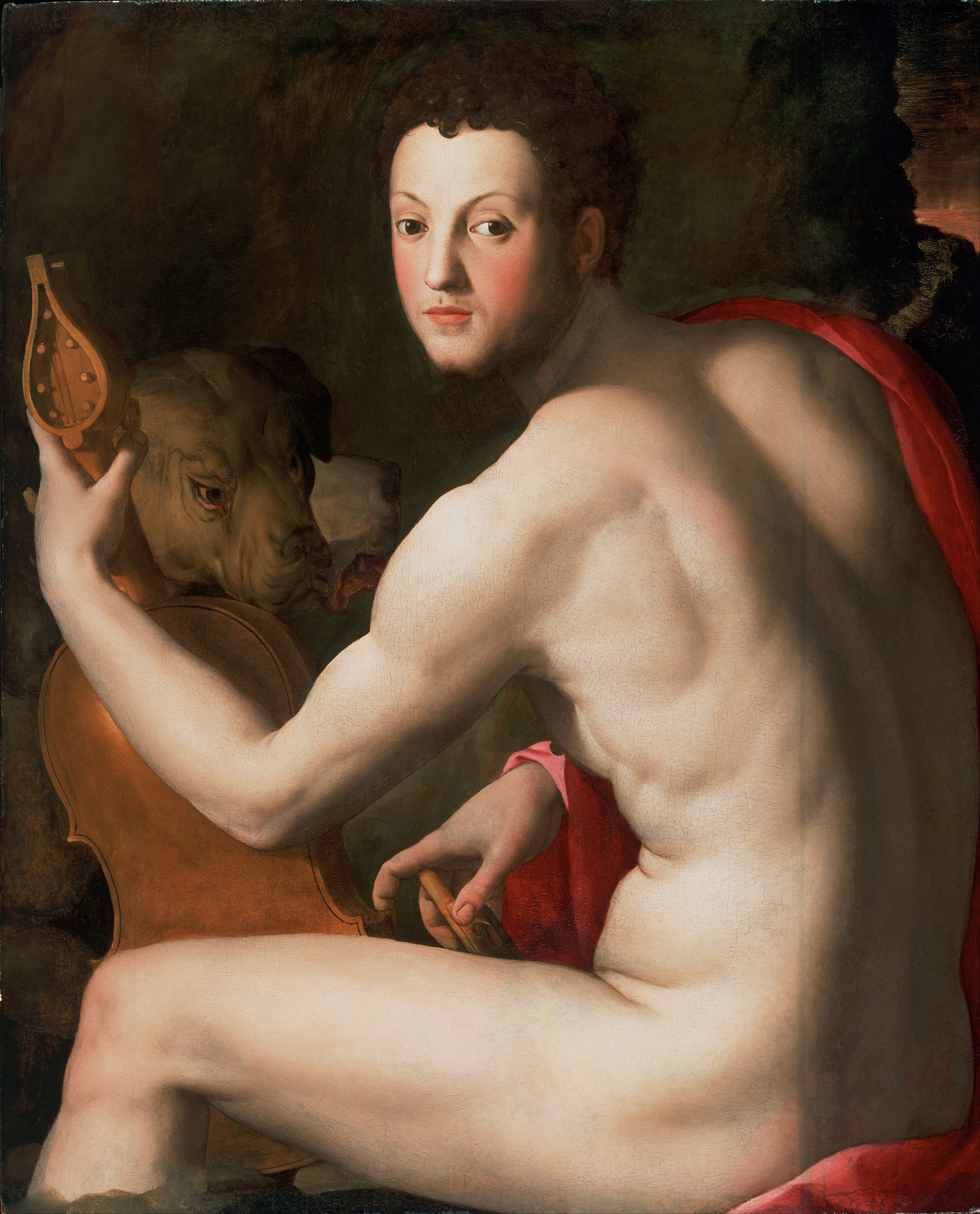 Portrait of Cosimo I de Medici as Orpheus, zoomed in