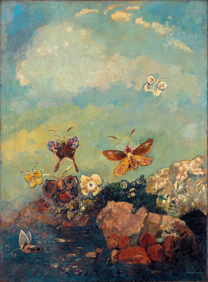 Butterflies scale comparison